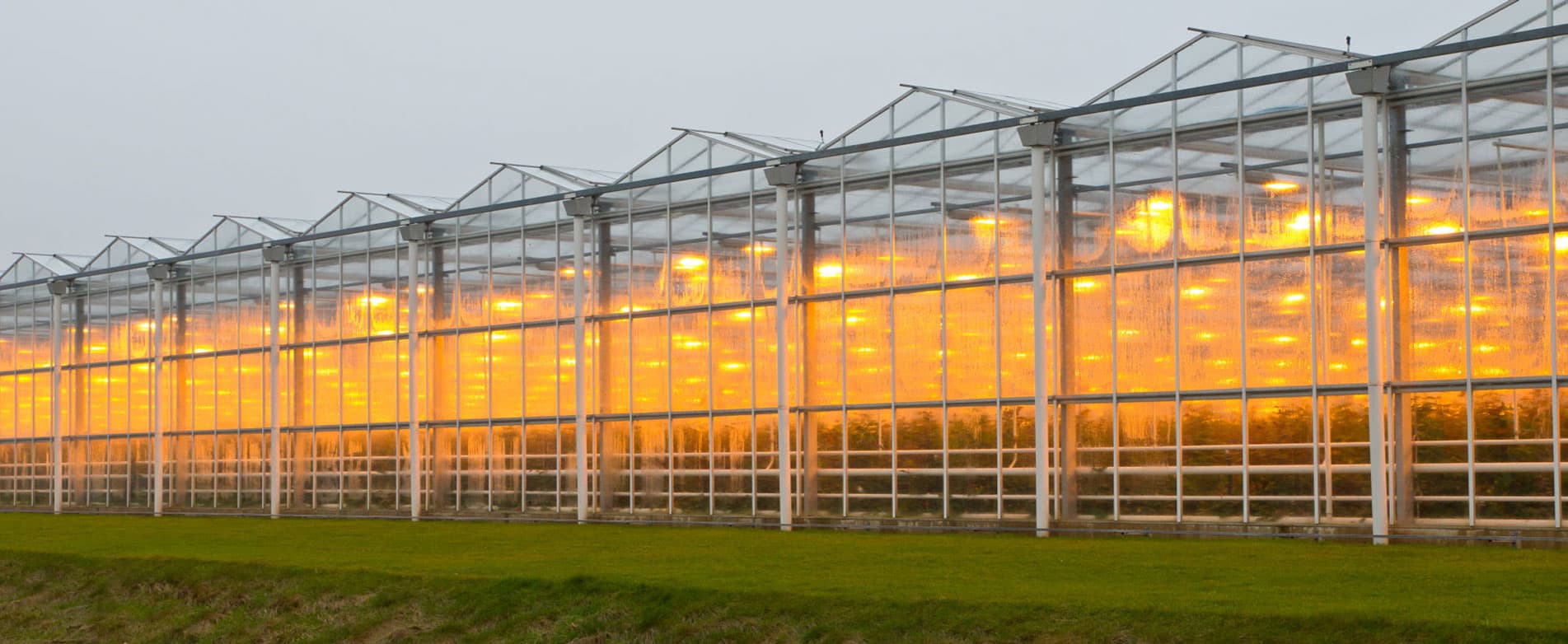 Led Grow Lights Voor Verticale Landbouw